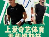 IM电竞投注平台-包含戴维斯杯绝杀拉沃尔杯，辛纳扛起全队的词条