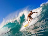 IM电竞官网首页-当东方逆转相遇西方强攻，日本乒乓的韧性之光与奥恰洛夫的铁血意志