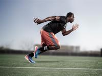 IM电竞下载-法拉利完胜红牛车队，皮亚斯特里统治全场，新一代车手的崛起与格局重塑