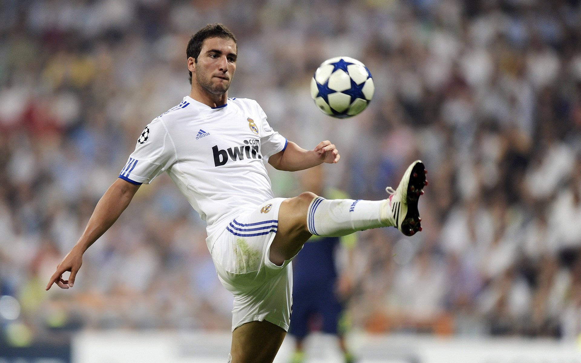 西决生死战之夜,伊布成为全场焦点